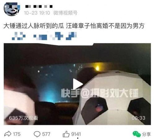 刘大锤今天爆料消息最新,揭秘娱乐圈最新惊天秘密!