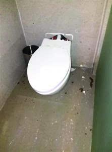 马桶人最新爆料,娱乐圈惊天内幕大曝光!